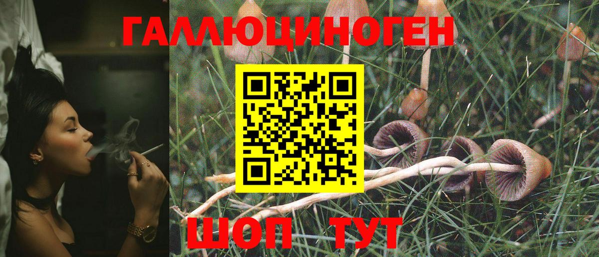 Псилоцибиновые грибы Psilocybine cubensis  Вход с VPN  Обнинск 